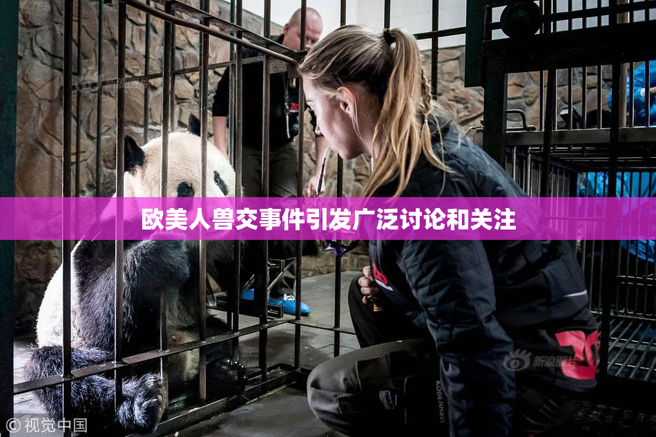 欧美人兽交事件引发广泛讨论和关注