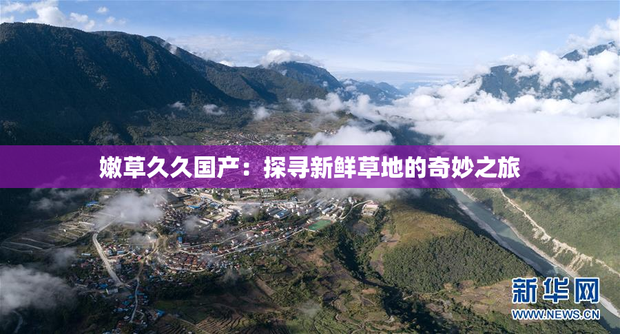 嫩草久久国产：探寻新鲜草地的奇妙之旅
