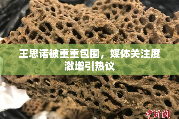 王思诺被重重包围，媒体关注度激增引热议