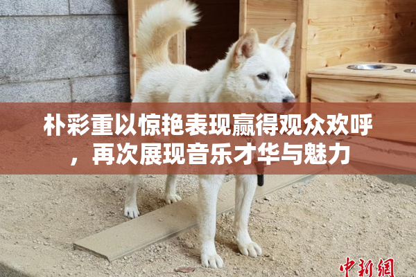 朴彩重以惊艳表现赢得观众欢呼，再次展现音乐才华与魅力
