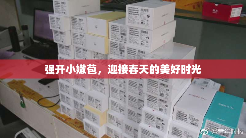 强开小嫩苞，迎接春天的美好时光