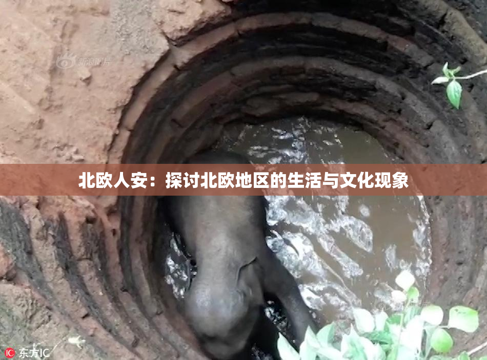 北欧人安：探讨北欧地区的生活与文化现象