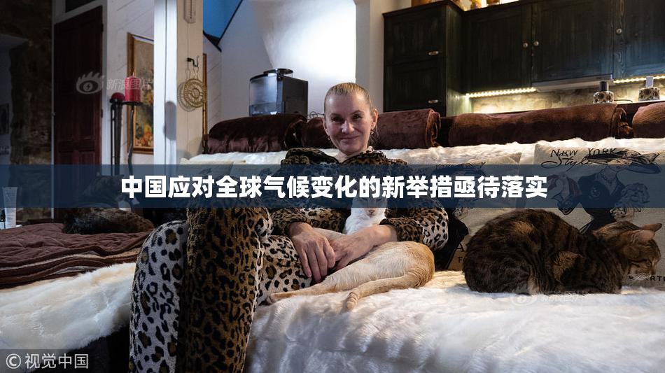 中国应对全球气候变化的新举措亟待落实