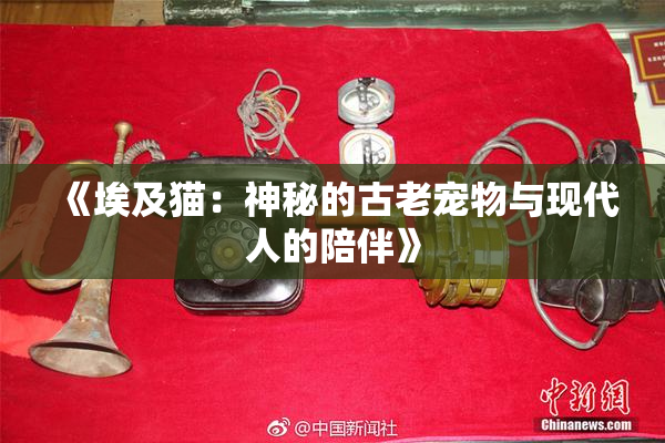 《埃及猫：神秘的古老宠物与现代人的陪伴》