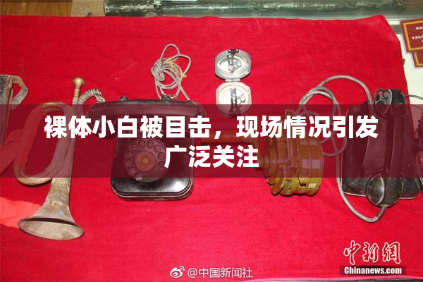 裸体小白被目击，现场情况引发广泛关注