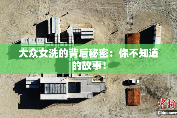 大众女洗的背后秘密：你不知道的故事！