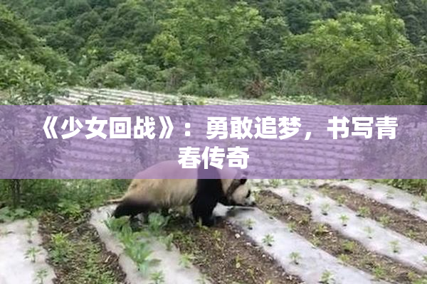 《少女回战》：勇敢追梦，书写青春传奇
