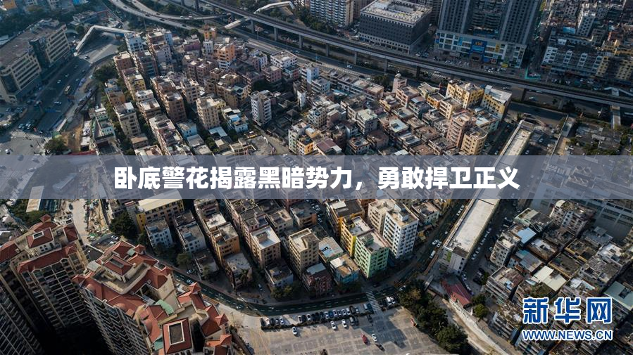 卧底警花揭露黑暗势力，勇敢捍卫正义