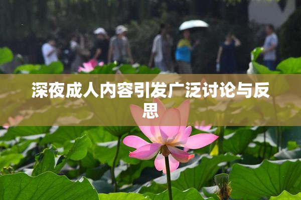 深夜成人内容引发广泛讨论与反思