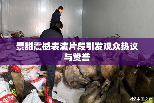 景甜震撼表演片段引发观众热议与赞誉
