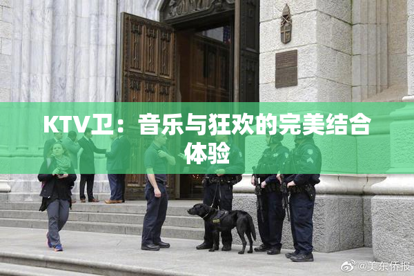 KTV卫：音乐与狂欢的完美结合体验