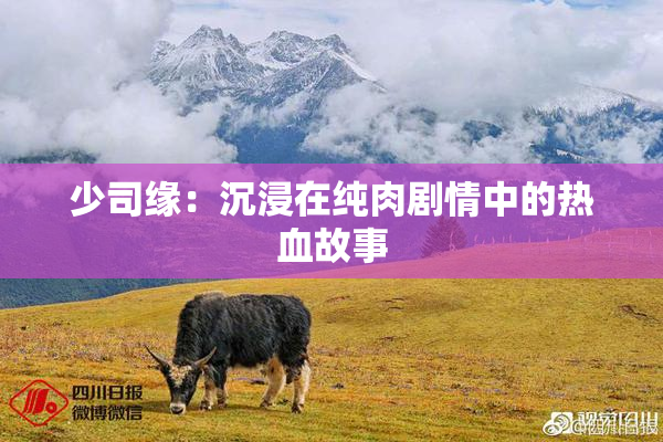 少司缘：沉浸在纯肉剧情中的热血故事