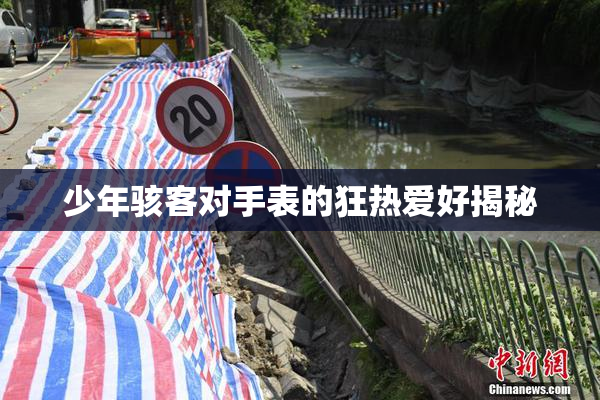 少年骇客对手表的狂热爱好揭秘