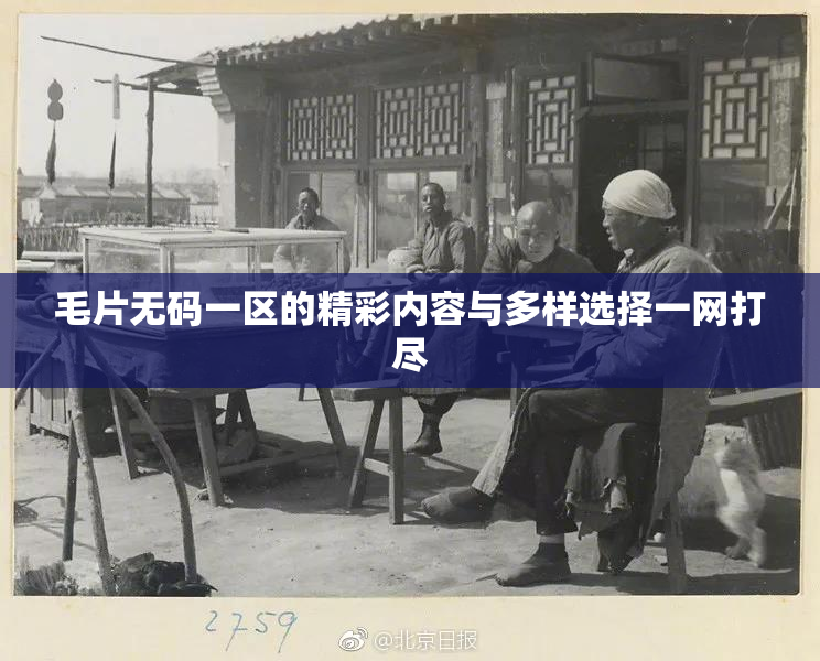 毛片无码一区的精彩内容与多样选择一网打尽