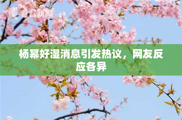 杨幂好湿消息引发热议，网友反应各异