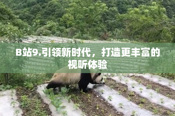 B站9.引领新时代，打造更丰富的视听体验
