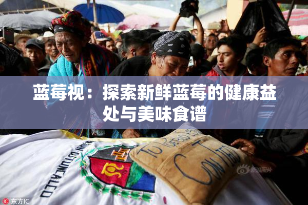 蓝莓视：探索新鲜蓝莓的健康益处与美味食谱