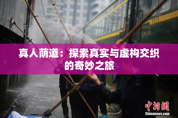 真人荫道：探索真实与虚构交织的奇妙之旅