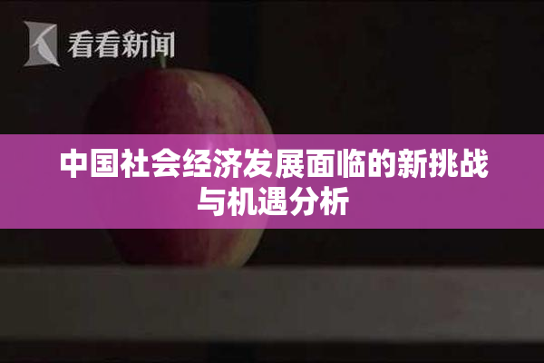 中国社会经济发展面临的新挑战与机遇分析