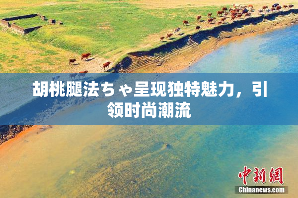 胡桃腿法ちゃ呈现独特魅力，引领时尚潮流
