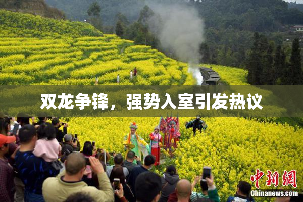 双龙争锋，强势入室引发热议