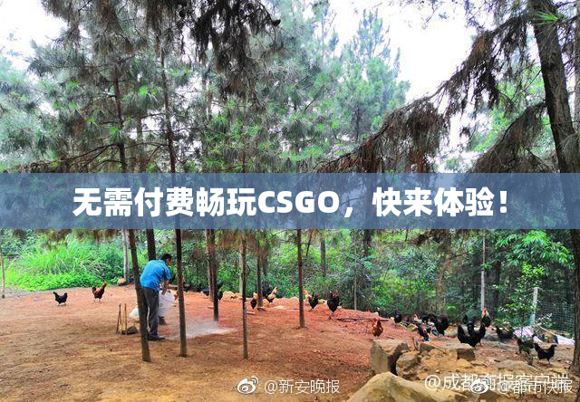 无需付费畅玩CSGO，快来体验！