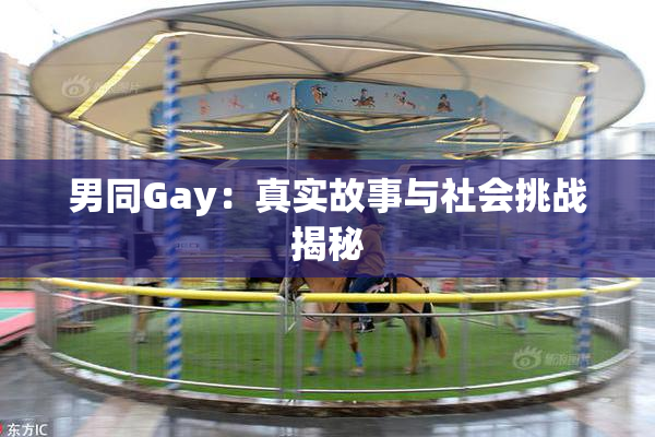 男同Gay：真实故事与社会挑战揭秘