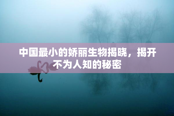 中国最小的娇丽生物揭晓，揭开不为人知的秘密
