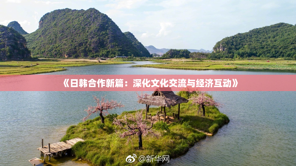 《日韩合作新篇：深化文化交流与经济互动》