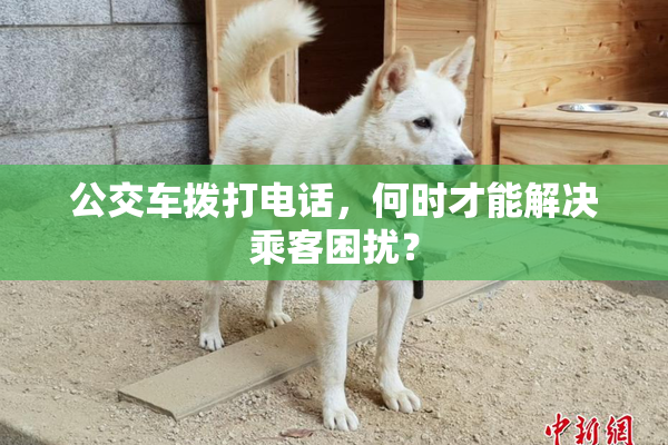 公交车拨打电话，何时才能解决乘客困扰？