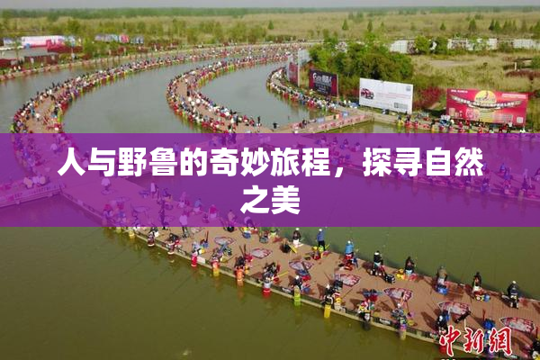 人与野鲁的奇妙旅程，探寻自然之美