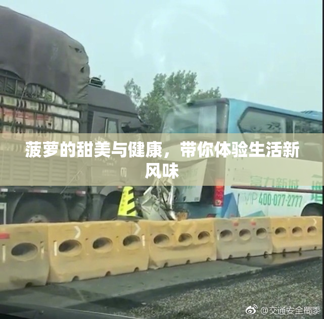 菠萝的甜美与健康，带你体验生活新风味