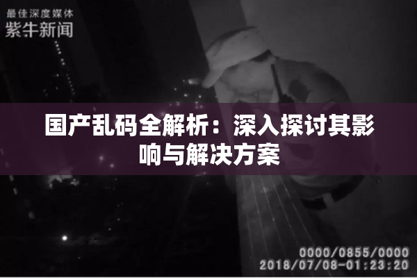 国产乱码全解析：深入探讨其影响与解决方案