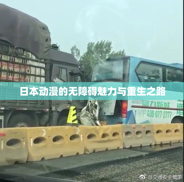 日本动漫的无障碍魅力与重生之路