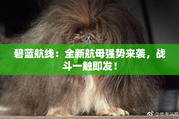 碧蓝航线：全新航母强势来袭，战斗一触即发！
