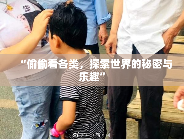 “偷偷看各类，探索世界的秘密与乐趣”
