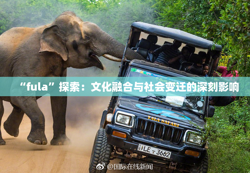 “fula”探索：文化融合与社会变迁的深刻影响