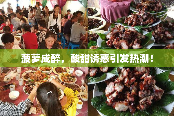 菠萝成醉，酸甜诱惑引发热潮！