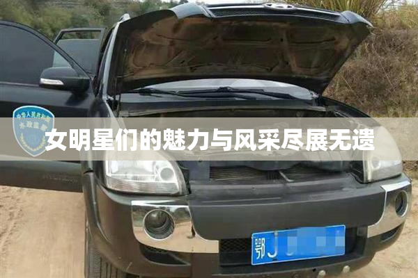女明星们的魅力与风采尽展无遗