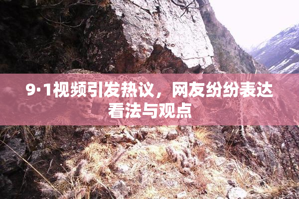 9·1视频引发热议，网友纷纷表达看法与观点