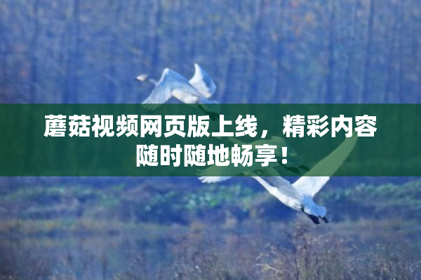 蘑菇视频网页版上线，精彩内容随时随地畅享！