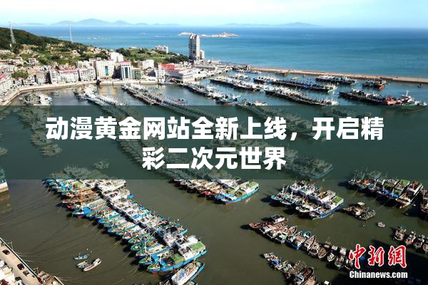 动漫黄金网站全新上线，开启精彩二次元世界