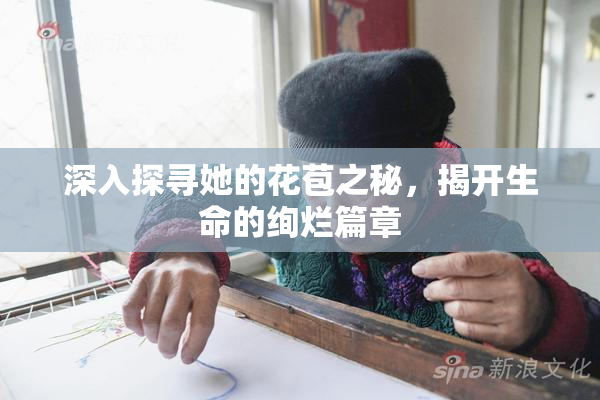 深入探寻她的花苞之秘，揭开生命的绚烂篇章