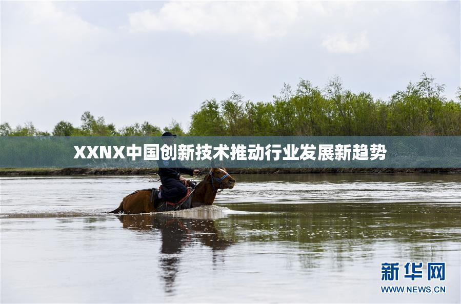 XXNX中国创新技术推动行业发展新趋势