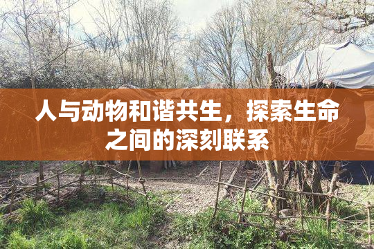 人与动物和谐共生，探索生命之间的深刻联系
