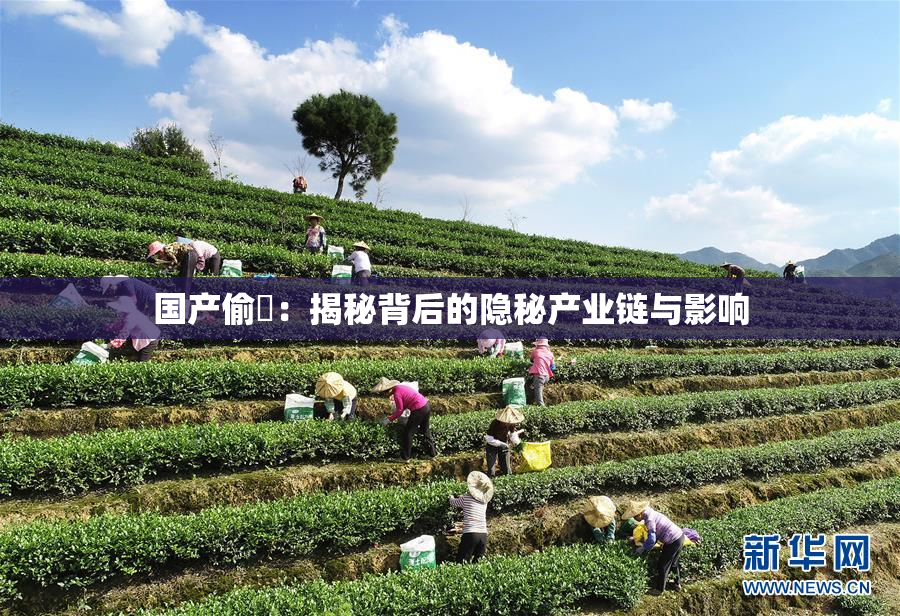 国产偷抇：揭秘背后的隐秘产业链与影响