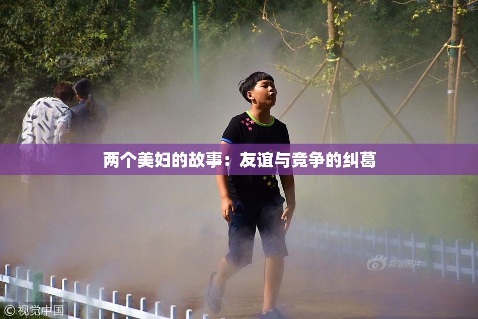 两个美妇的故事：友谊与竞争的纠葛