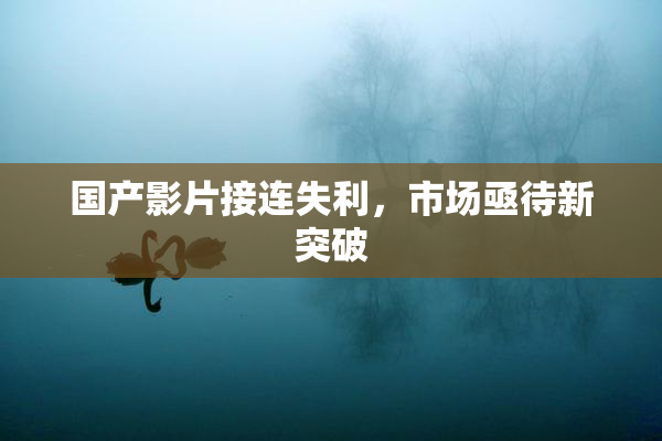 国产影片接连失利，市场亟待新突破