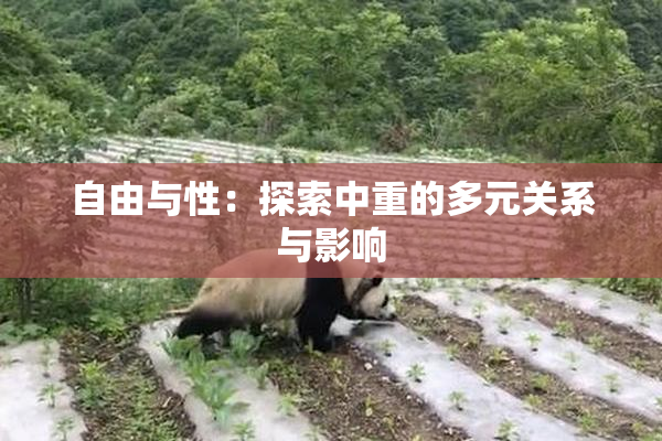 自由与性：探索中重的多元关系与影响