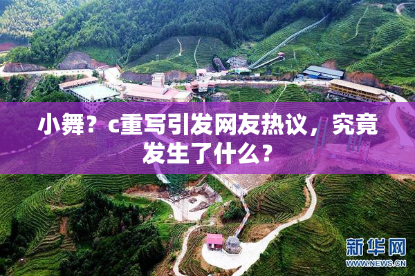 小舞？c重写引发网友热议，究竟发生了什么？